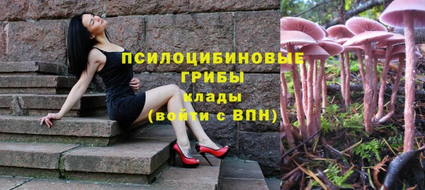 прущий лед Заводоуковск