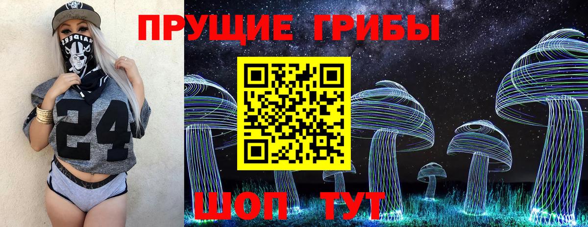 Псилоцибиновые грибы прущие грибы Северобайкальск