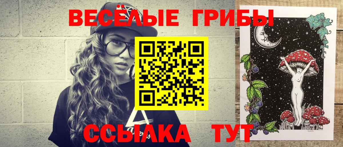 хочу наркоту  Северобайкальск  Галлюциногенные грибы GOLDEN TEACHER 